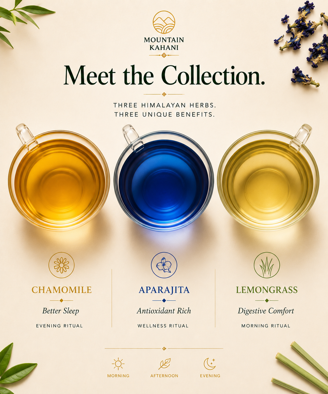 Discovery Trio — Lemongrass, Aprajita & Chamomile (Tea Bags)