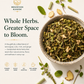 Mountain Mornings Herbal Tea For A Fresh Start
