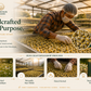 Discovery Trio — Lemongrass, Aprajita & Chamomile (Tea Bags)