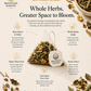Mountain Ritual Duo — Mountain Mornings & Slow Evenings (Tea Bags)