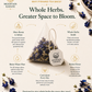 Aprajita Blue Tea Bags For Natural Glow